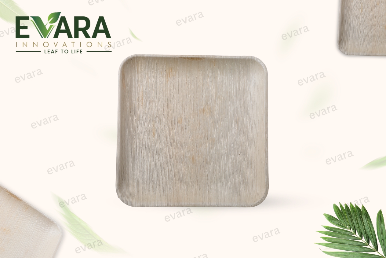 10" Square Plate 2