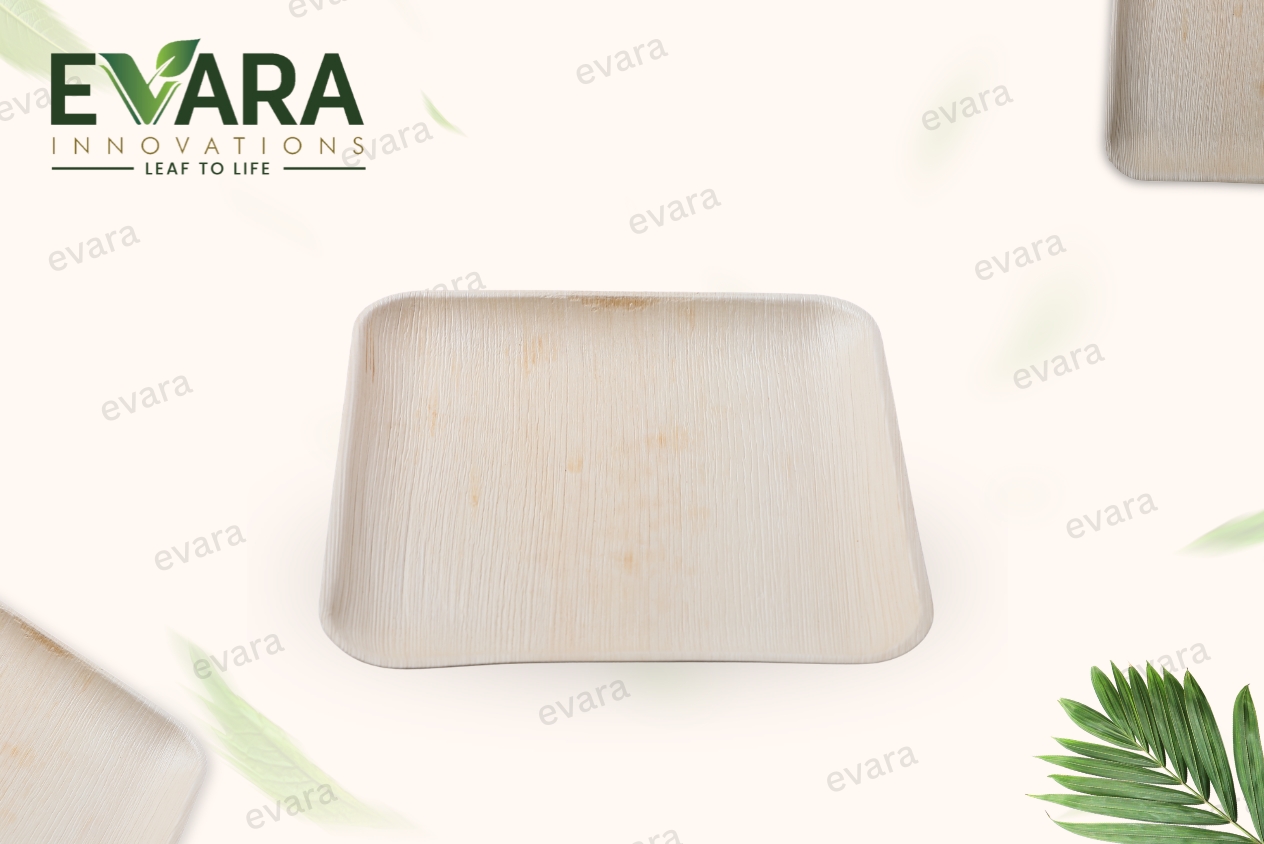 10" Square Plate 3
