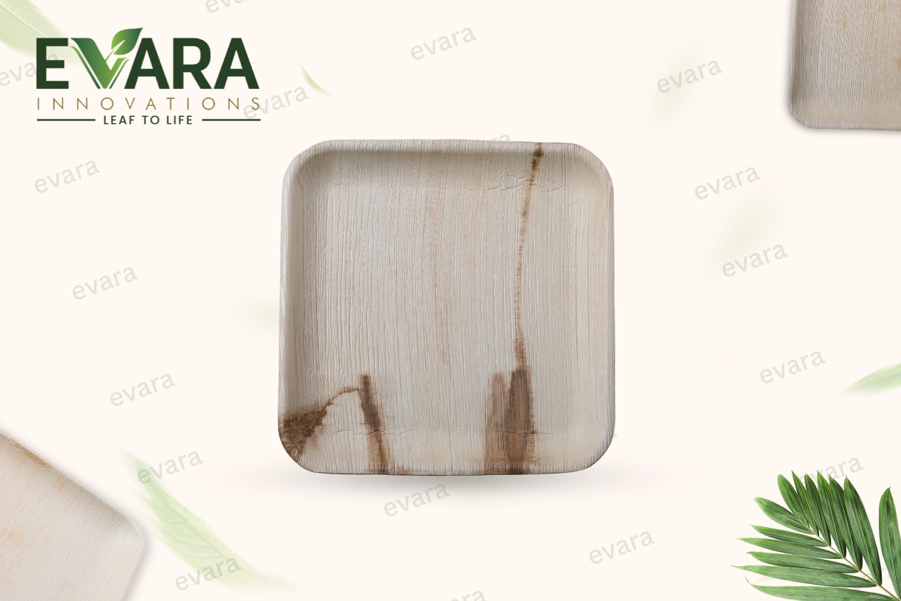9" Square Plate 2