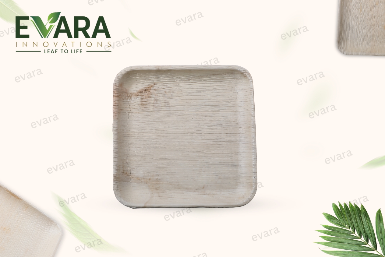 9" Square Plate 3